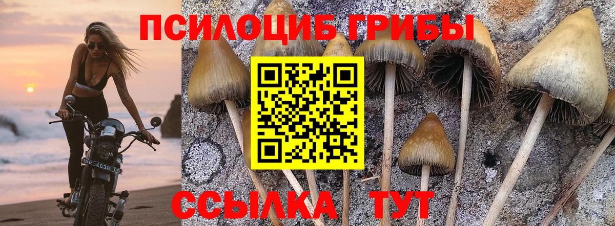 Галлюциногенные грибы ЛСД Кунгур