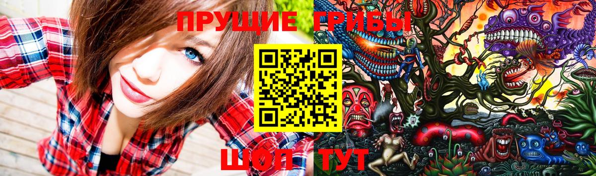 Кунгур  Псилоцибиновые грибы мухоморы  Вход с VPN 